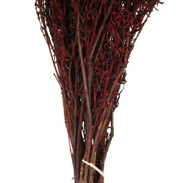 22"-26" 5-6oz Preserved Red Grabia 5
