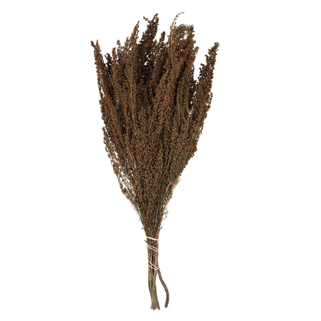 18"-20" 4-5oz Brown Preserved Heather Bundle 1