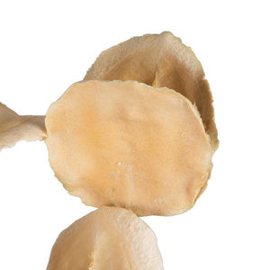 15"-17" Bleached Preserved Jacaranda Pod Stems (7 stems in a bundle) 2