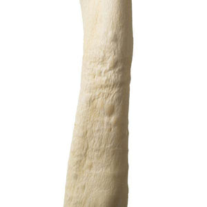 36"-38" Dried Bleached Sea Kelp 3