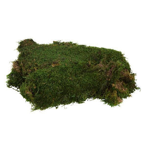 1.1lbs Green Preserved Sheet Moss 2