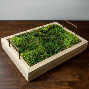 1.1lbs Green Preserved Sheet Moss 6