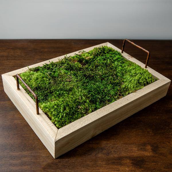 1.1lbs Green Preserved Sheet Moss 6