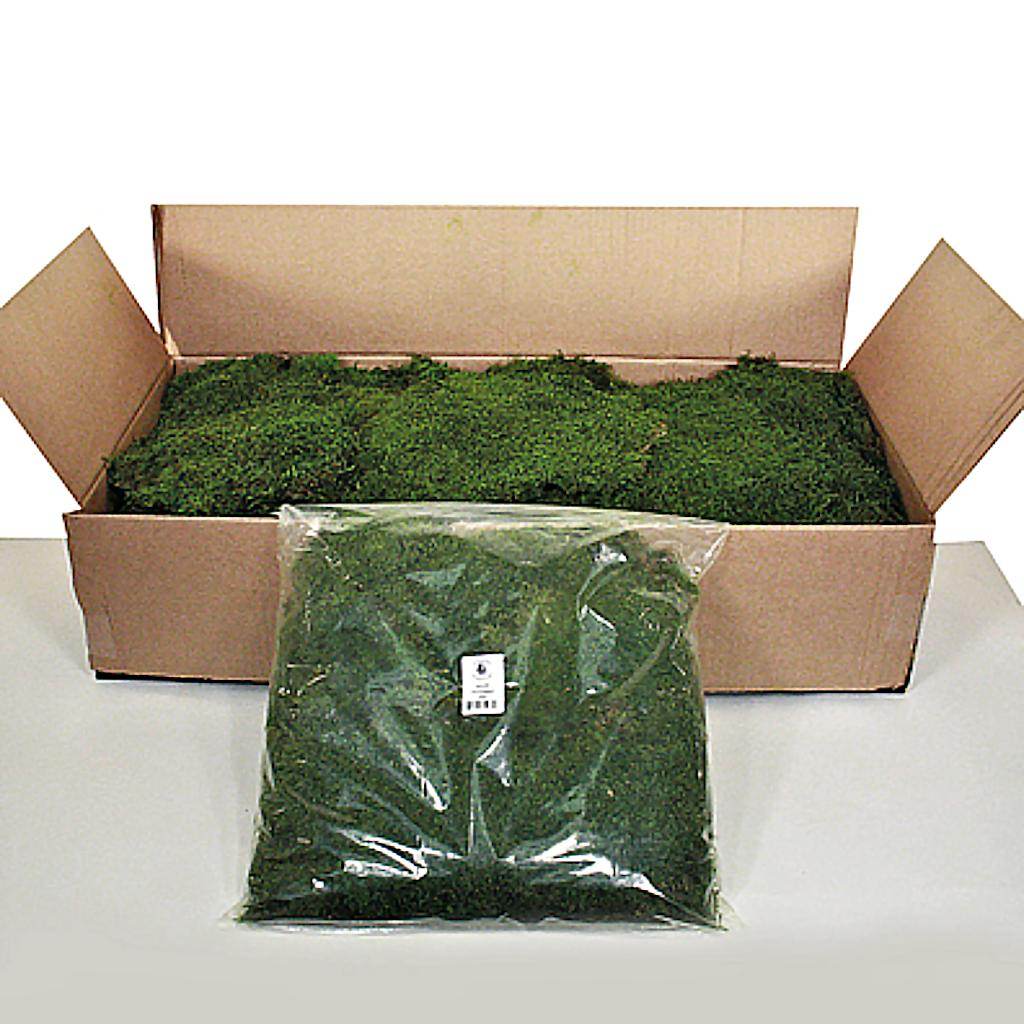 1.1lbs Green Preserved Sheet Moss 1