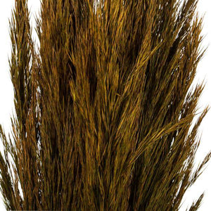 36"-40" 7-8oz Aspen Gold Preserved Plume Reed Bundle 2