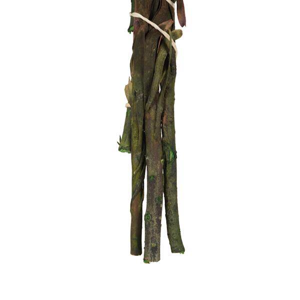 8"-20" Violet Preserved Plumosum (8 flowers in a bundle) 6