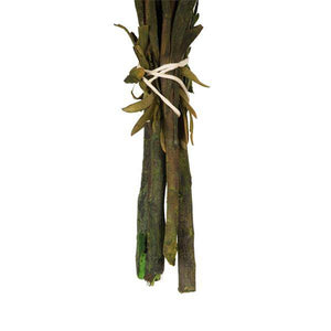 8"-20" Autumn Preserved Plumosum (8 flowers in a bundle) 6