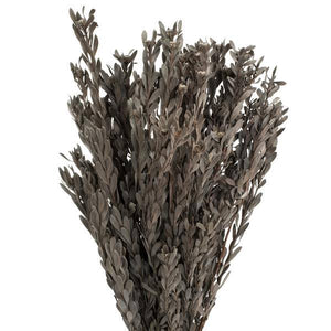 18"-20" 5oz Silver White Preserved Pubescens 2