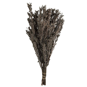 18"-20" 5oz Silver White Preserved Pubescens 1