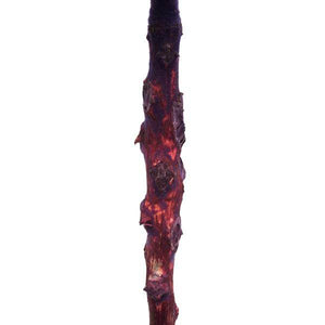 8" Violet Preserved Queen Flower 4