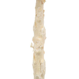 8" Bleached Preserved Queen Flower 4