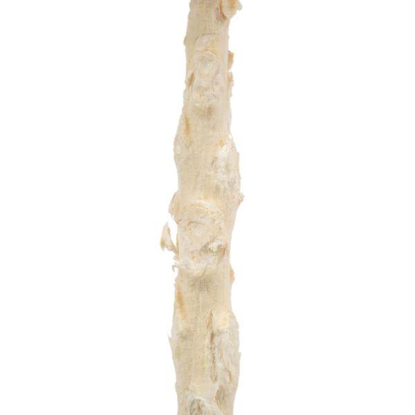 8" Bleached Preserved Queen Flower 4