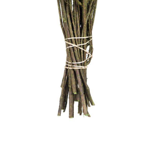 14"-18" Spring Green Dried Stoebe 4