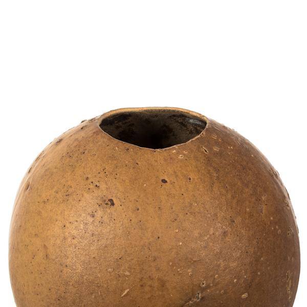 6"-7" Natural Preserved Bacacuia Gourd 3