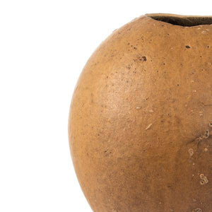6"-7" Natural Preserved Bacacuia Gourd 4