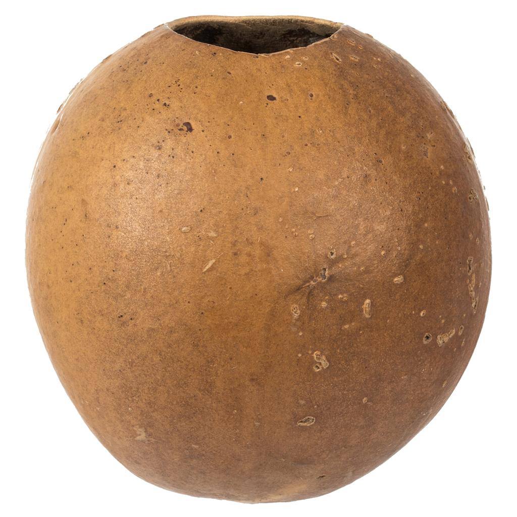 6"-7" Natural Preserved Bacacuia Gourd 1