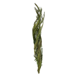 40"-48" Dried Green Coco Palm Stem (6 stems in a bundle) 1