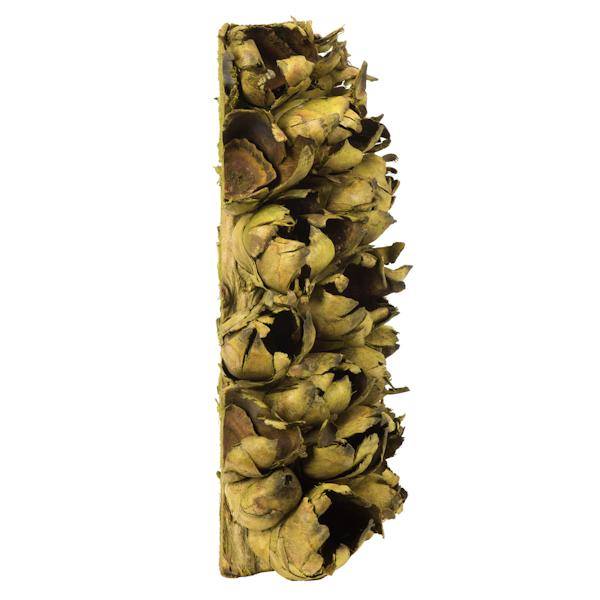 10"-12" Basil Preserved Seed Pod 3