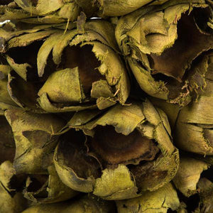 10"-12" Basil Preserved Seed Pod 5
