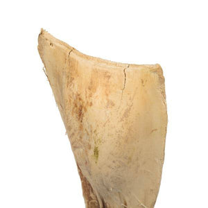 20"-24" Bleached Preserved Ninja (10 pack) 3