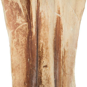 20"-24" Bleached Preserved Ninja (10 pack) 4