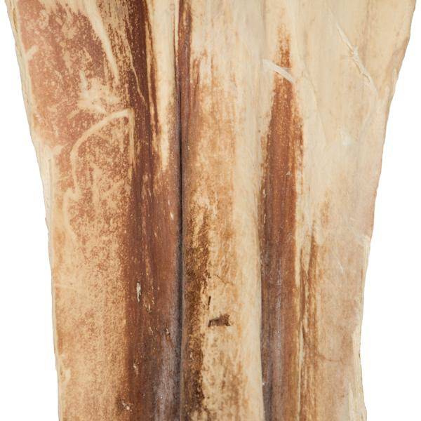 20"-24" Bleached Preserved Ninja (10 pack) 4
