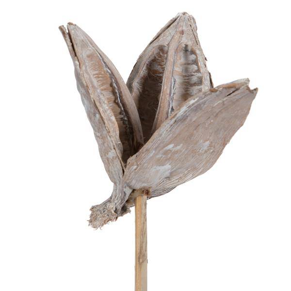 16" White Washed Sora Pod on Stem (5 Pack) 2