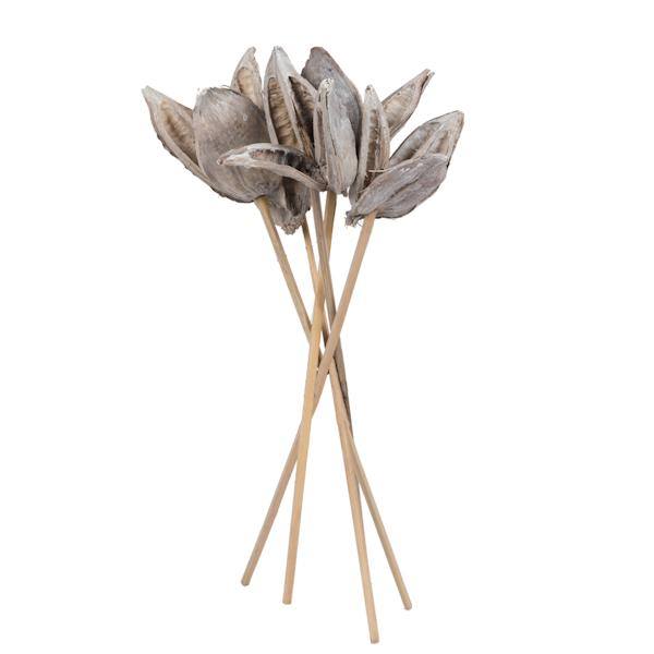 16" White Washed Sora Pod on Stem (5 Pack) 3