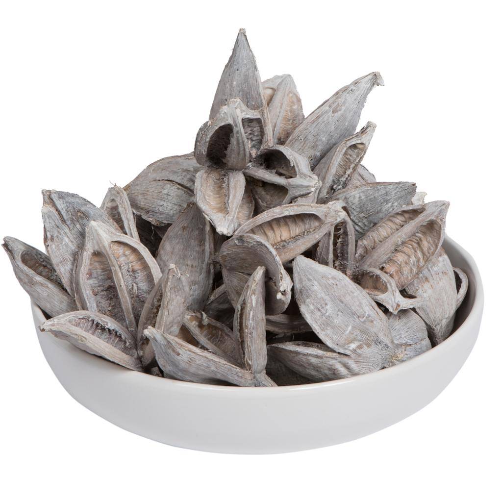 3-4" White Wash Sora Pods (250 Pack) 1