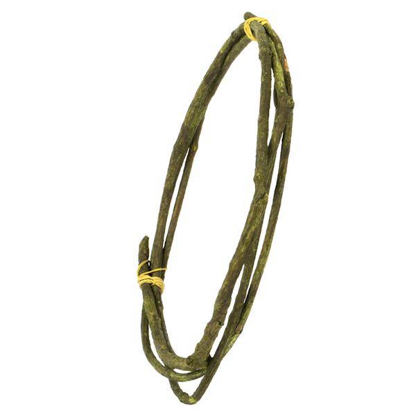 95"-100" Basil Dried Tranca Vine Coil 2