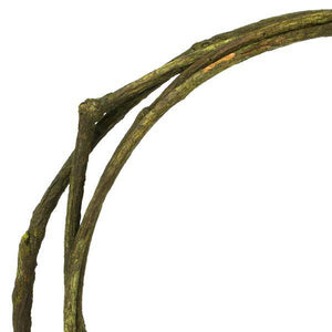 95"-100" Basil Dried Tranca Vine Coil 3