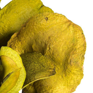 15" Basil Preserved Frogs Mouth Pod (9 pack) 2