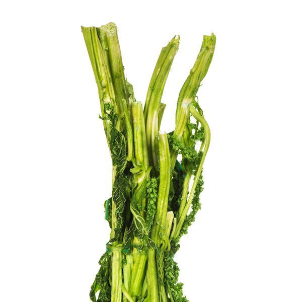 30"-34" 7-8oz Dried Spring Green Amaranthus 3