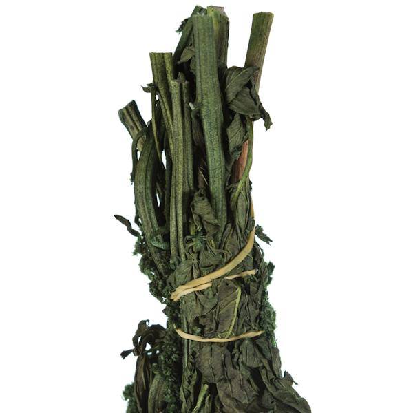30"-34" 7-8oz Dried Green Amaranthus 3