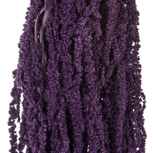 30"-34" 7-8oz Dried Violet Amaranthus 2