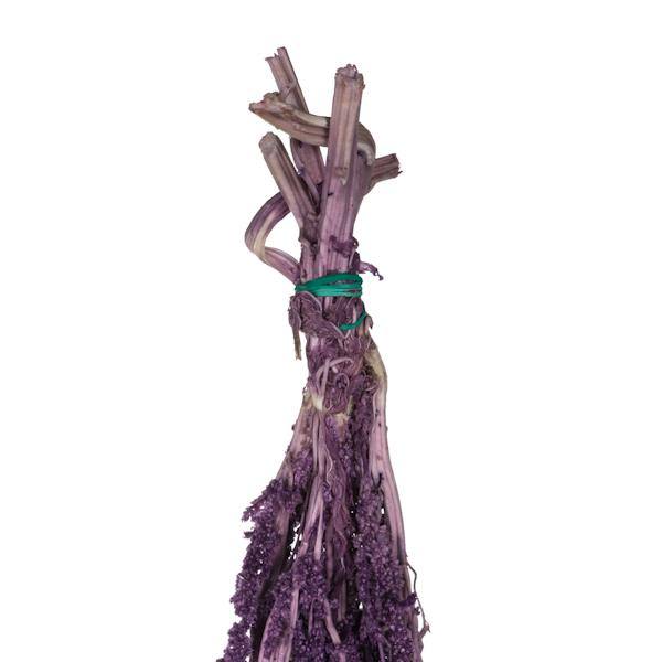 30"-34" 7-8oz Dried Violet Amaranthus 3