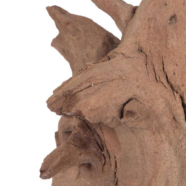 18" Sand Blasted Dried Manzanita Tree Branch 3