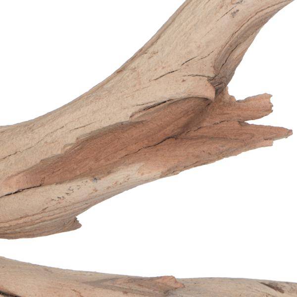 18" Sand Blasted Dried Manzanita Tree Branch 4