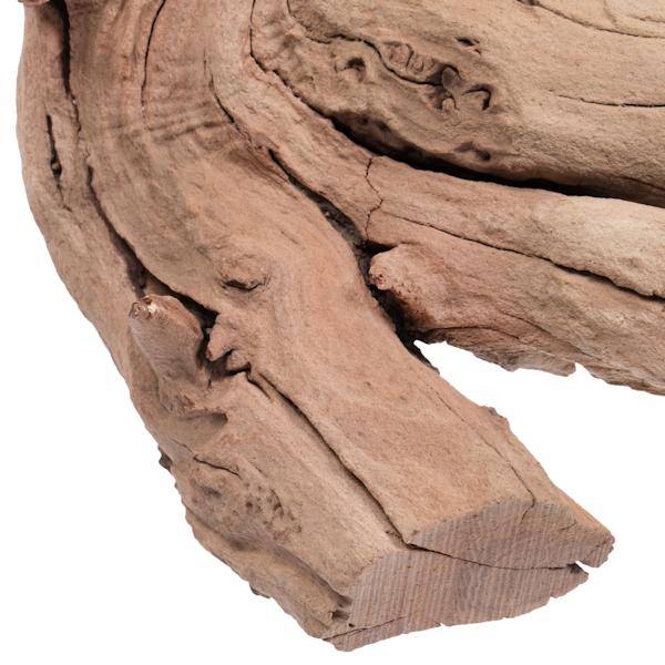 18" Sand Blasted Dried Manzanita Tree Branch 5