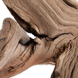 24" Sand Blasted Dried Manzanita Tree Branch 2