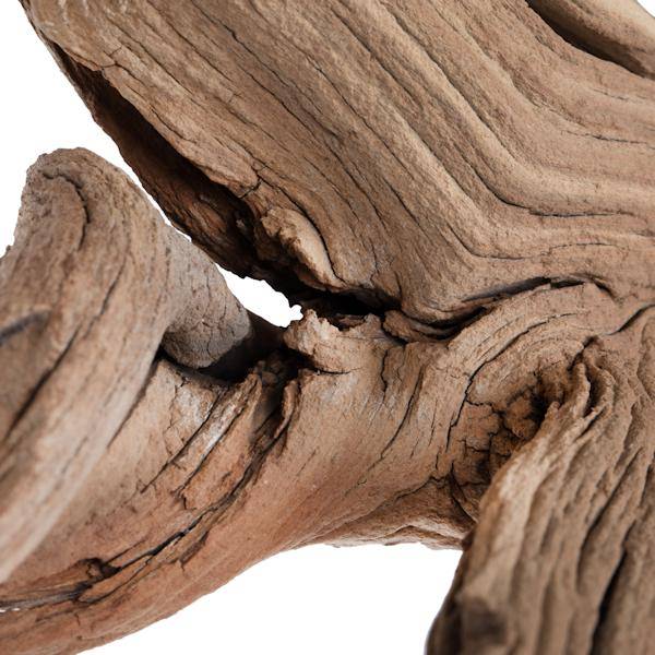 24" Sand Blasted Dried Manzanita Tree Branch 2