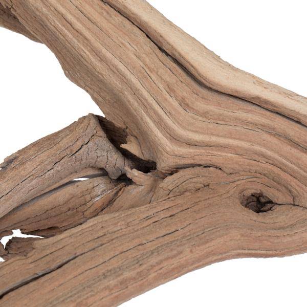 24" Sand Blasted Dried Manzanita Tree Branch 3
