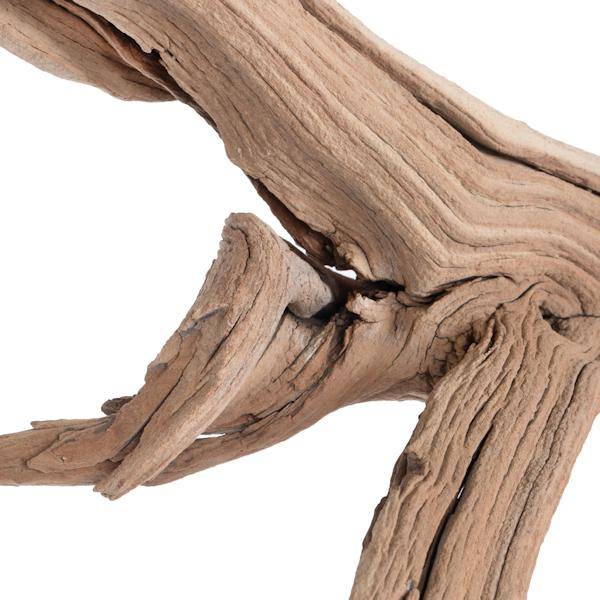 24" Sand Blasted Dried Manzanita Tree Branch 4
