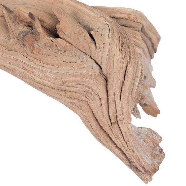 24" Sand Blasted Dried Manzanita Tree Branch 5