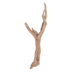 24" Sand Blasted Dried Manzanita Tree Branch 1