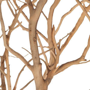 36" Sand Blasted Dried Manzanita Tree Branch 2