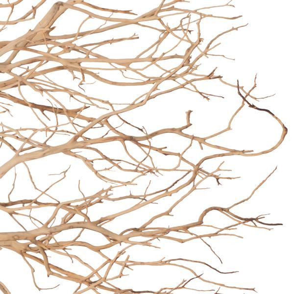 36" Sand Blasted Dried Manzanita Tree Branch 3