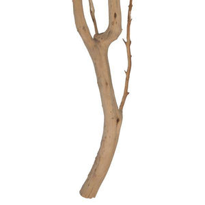 36" Sand Blasted Dried Manzanita Tree Branch 4