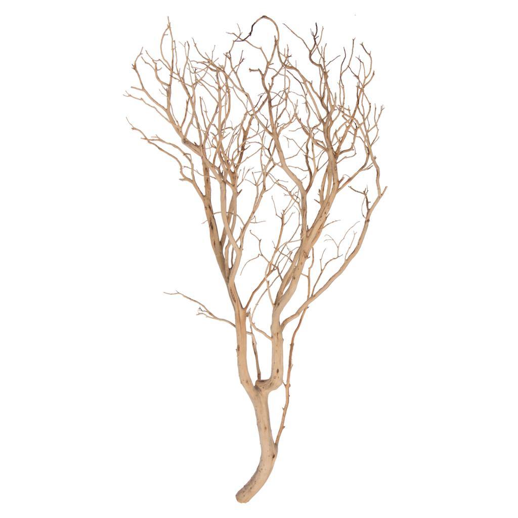 36" Sand Blasted Dried Manzanita Tree Branch 1