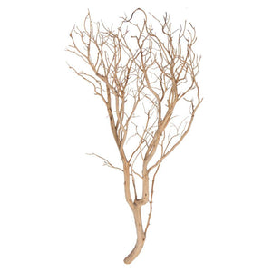 36" Sand Blasted Dried Manzanita Tree Branch 1